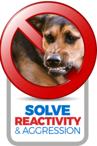 solve reactivity and aggression