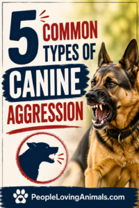 types of canine aggression