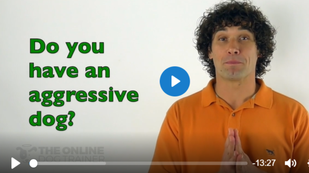 canine aggression training
