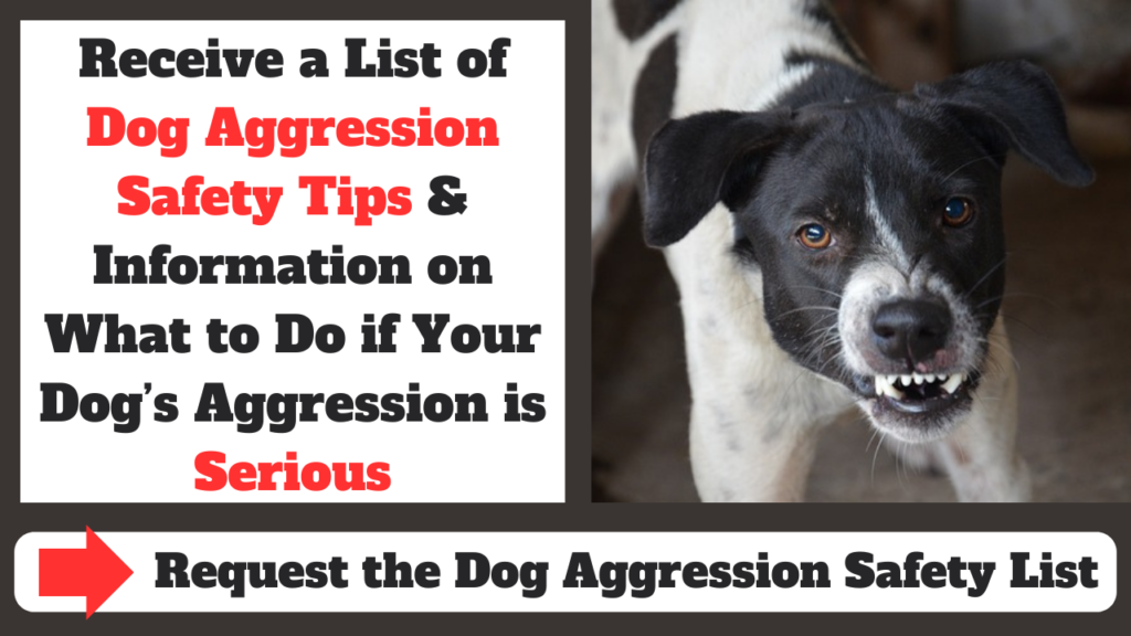 dog aggression safety tips