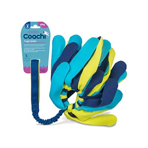 Coachi-Tuggi-Spider-An-Honest-Review.jpg