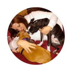 Puppy Biting and Nipping Checklist