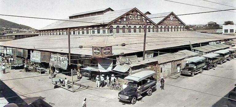 A DAY AT THE MERCADO