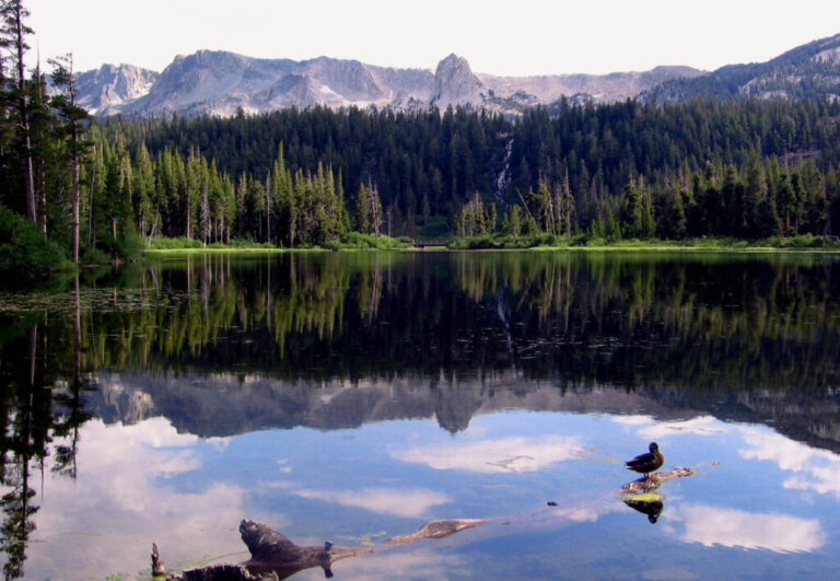 A Dog Friendly Guide to Yosemite – Off-Leash Rebels