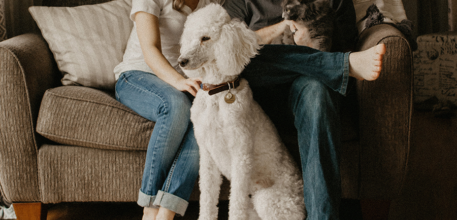 Essential House Cleaning Tips for Pet Owners