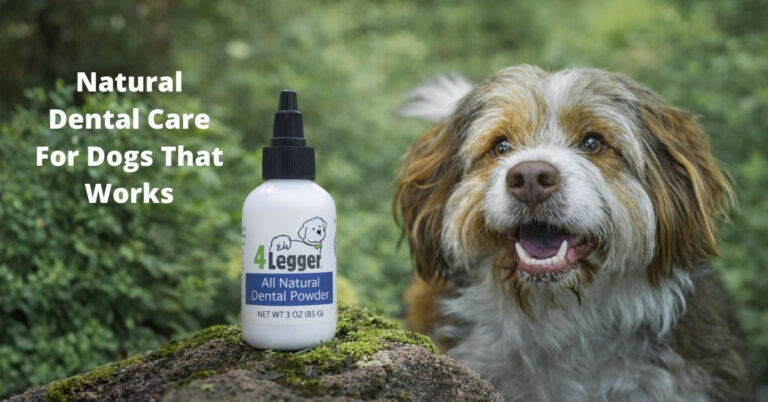 Natural Dog Dental Care That Works without Toxins
– 4-Legger