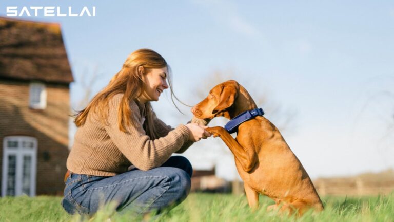 Why the SATELLAI Collar Might Be the Smartest Investment for Your Dog’s Safety