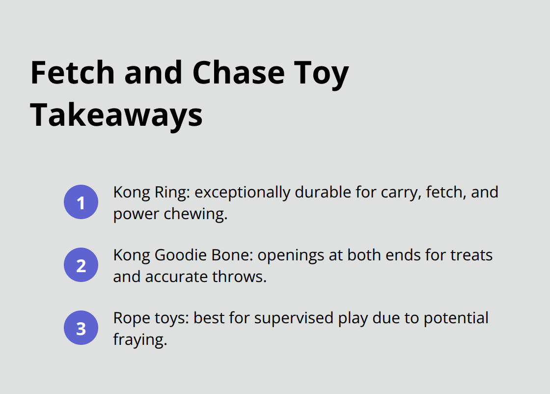Toys That Spark Play, Learning, and Tail Wagging – The Dogington Post