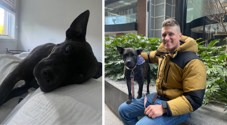 Tech founder’s dog was riddled with tumors, vets said she had months. He used ChatGPT to build a custom cancer vaccine that left researchers stunned