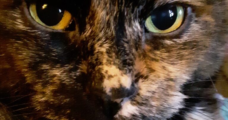 Close-up from Mommy’s Lap #SundaySelfie