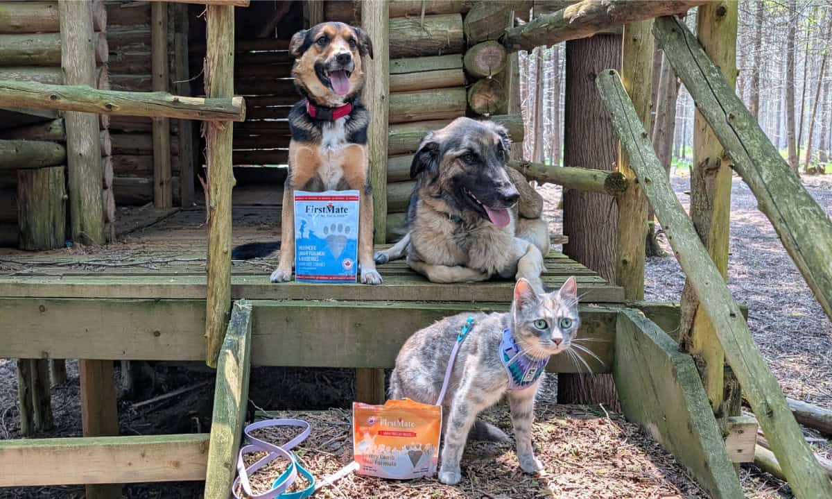 Made in Canada: Our Favourite Canadian Dog & Cat Treats