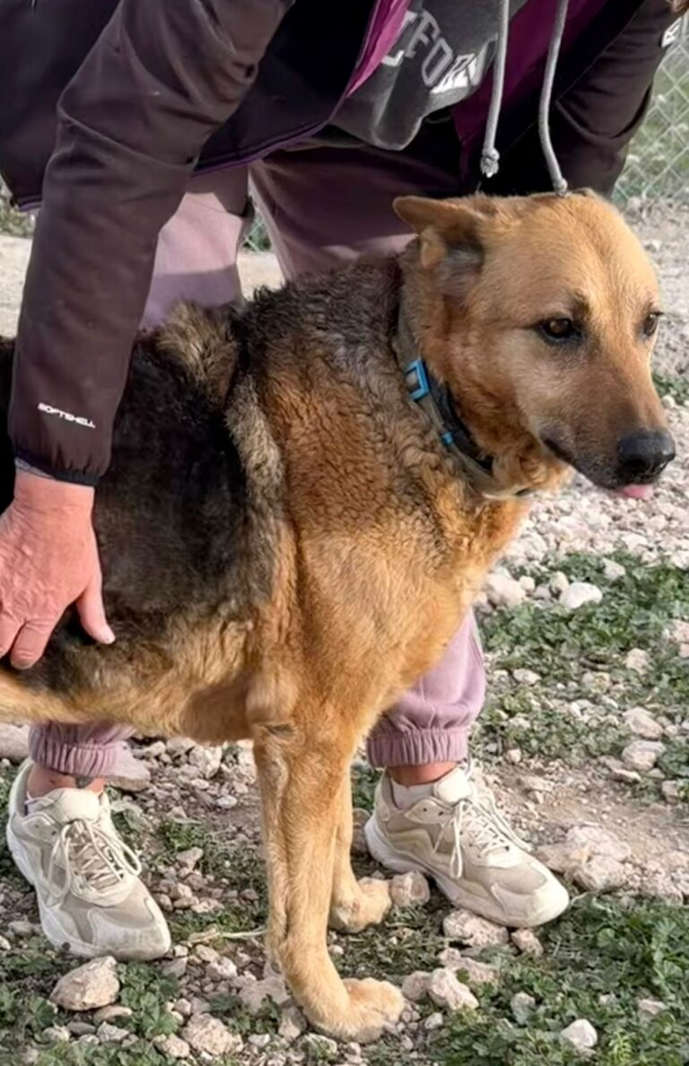 Max
