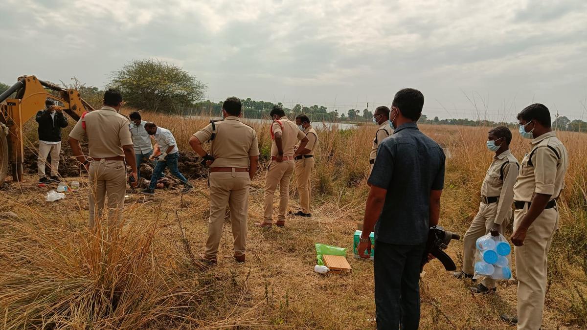 Panchayat Poll Promise or Mass Cruelty? The Tragic Week That Saw 500 Stray Dogs Killed in Telangana