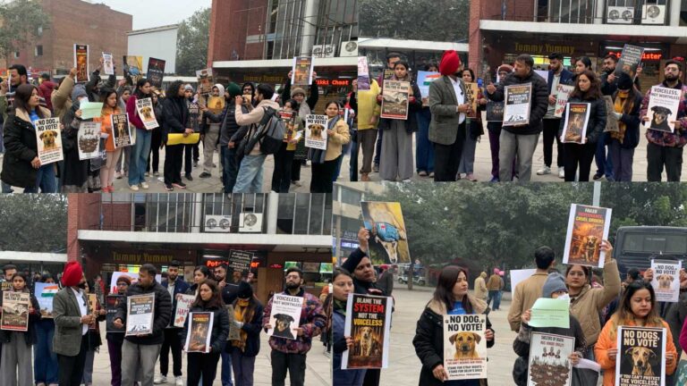 Protest in Chandigarh Against Alleged Illegal Dog-Catching Drives