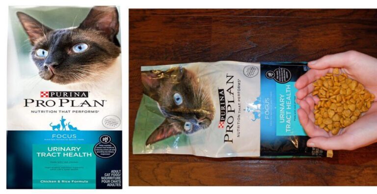 Purina Pro Plan Cat Food Review