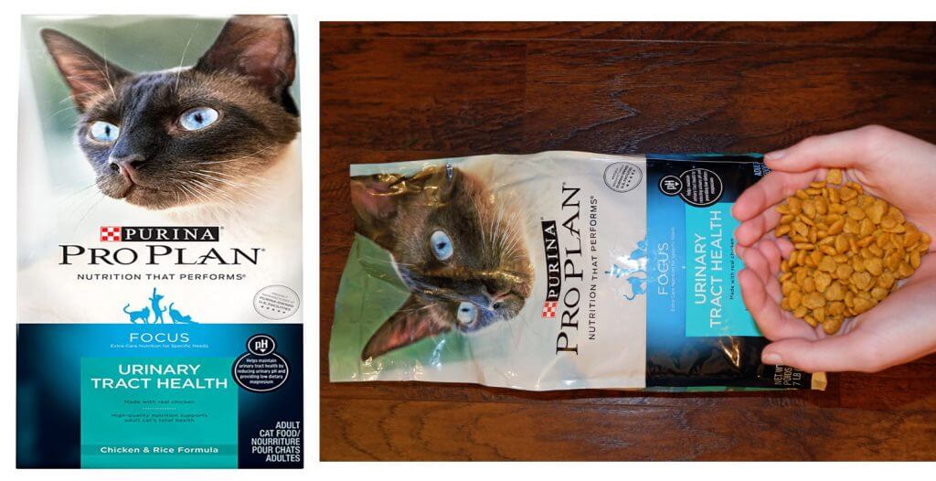 Purina Pro Plan Cat Food Review