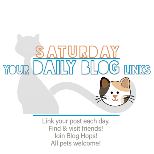 Saturday 3/7 Blogging Activities – The Cat Blogosphere