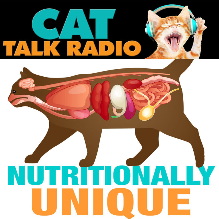 What Makes Cats Nutritionally Unique? Understanding the Science Behind the Bowl