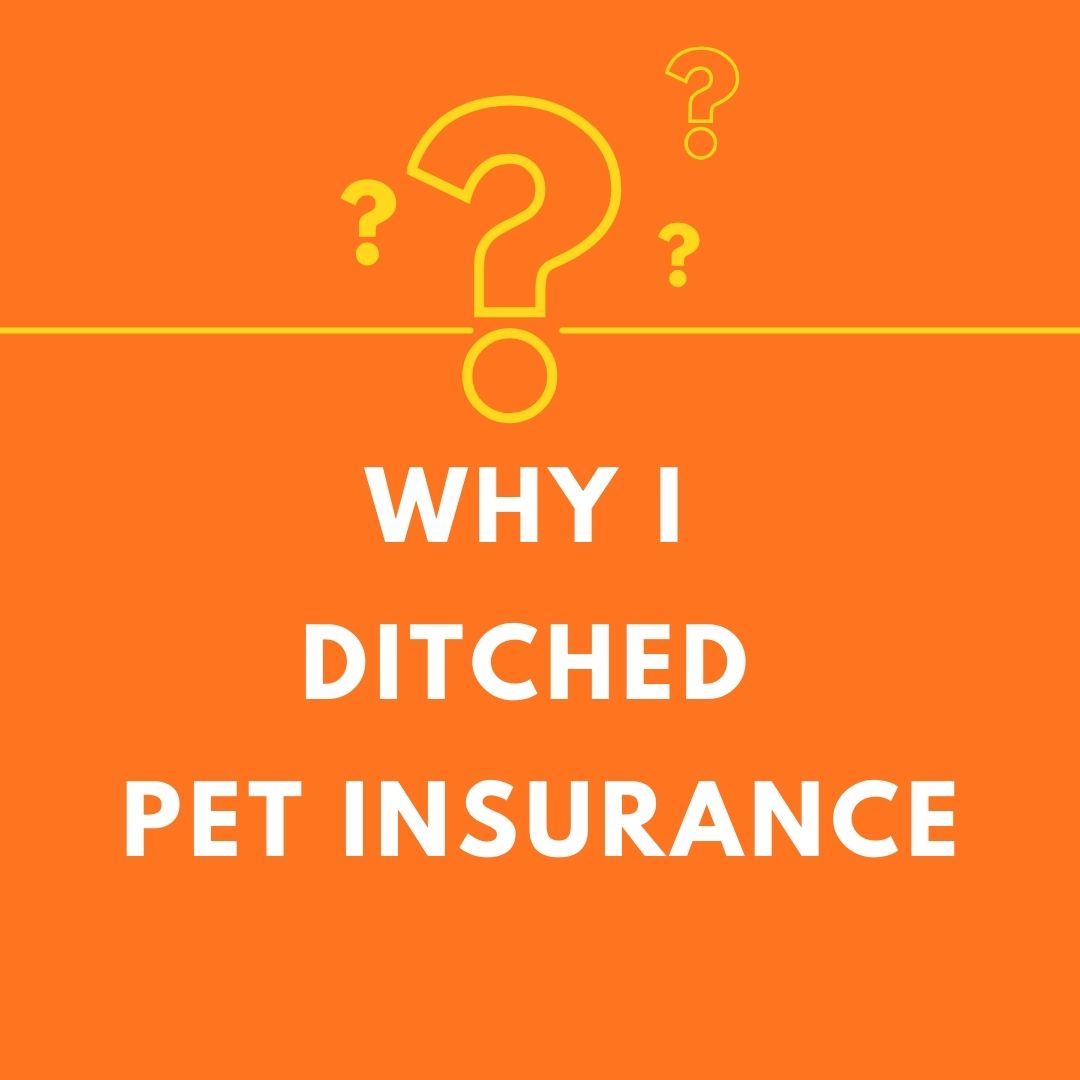 Why Cancel Pet Insurance | Champion of My Heart