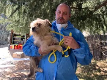 ‘Biggest Animal Hoarding Case In History’ Is A Reminder To Take A Beat And Wait For Facts – Pain In The Bud
