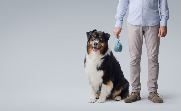 White Dog Poop: Causes, Risks, & Meaning