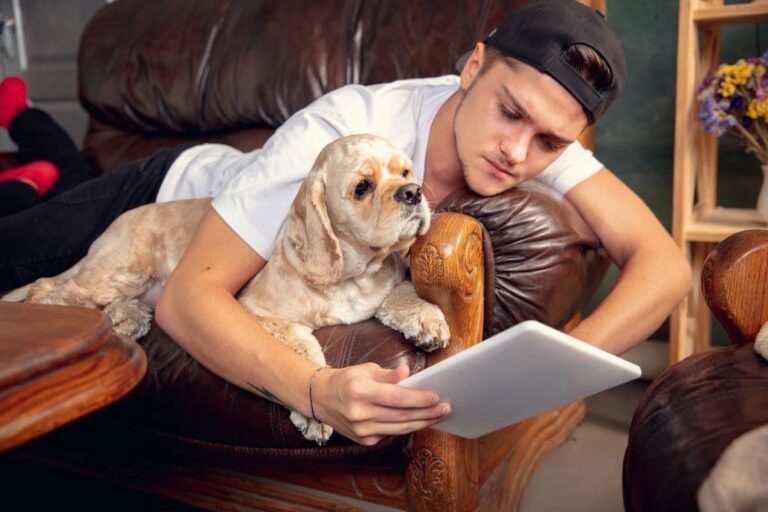 How Is AI In Veterinary Medicine Being Used?