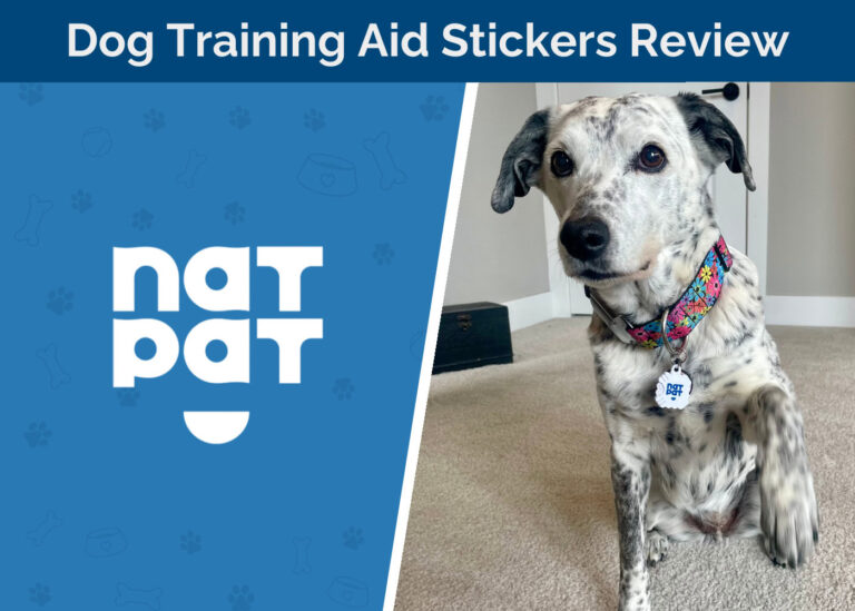 NATPAT Dog Training Aid Stickers Review 2026: The Easiest Way to Get Your Pup to Focus