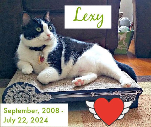 Lexy: September 2008 – July 22, 2024