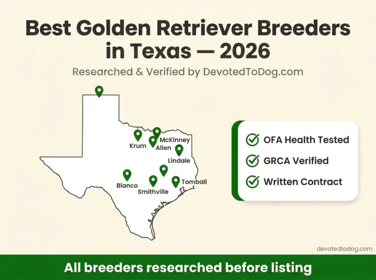 Best Golden Retriever Breeders in Texas (2026 Guide)