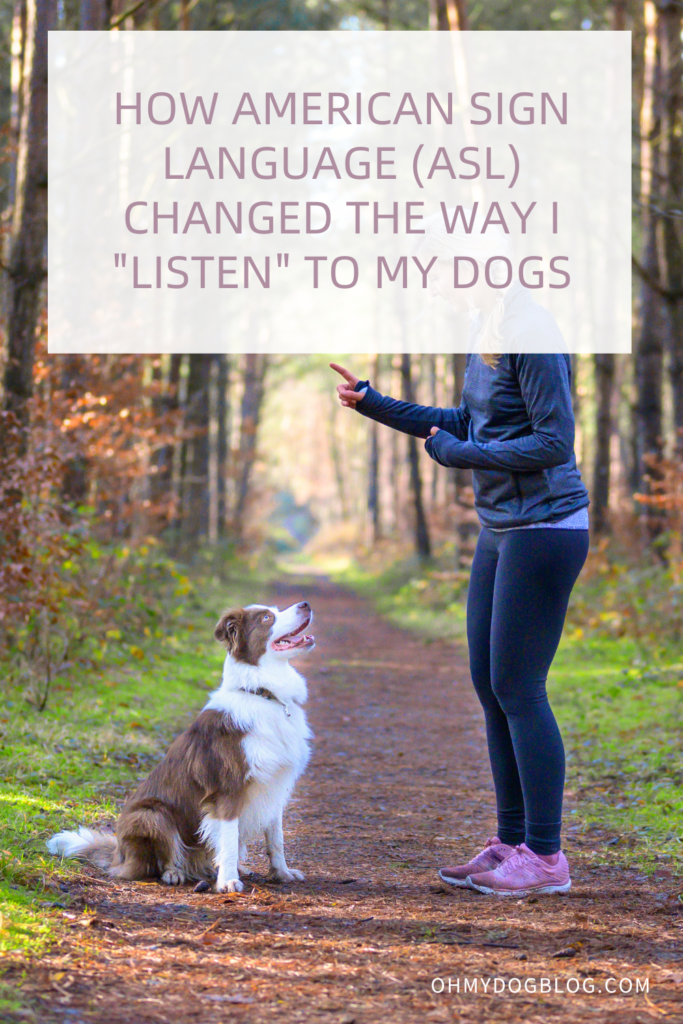 How American Sign Language Changed the Way I “Listen” to My Dogs