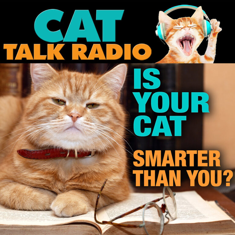 Is Your Cat Smarter Than You? Understanding the 9 Most Intelligent Cat Breeds