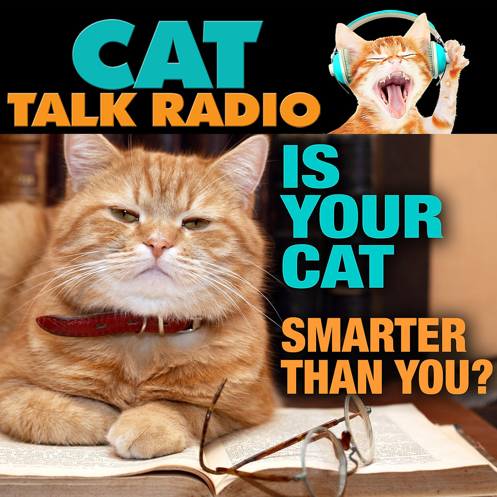 Is Your Cat Smarter Than You? Understanding the 9 Most Intelligent Cat Breeds