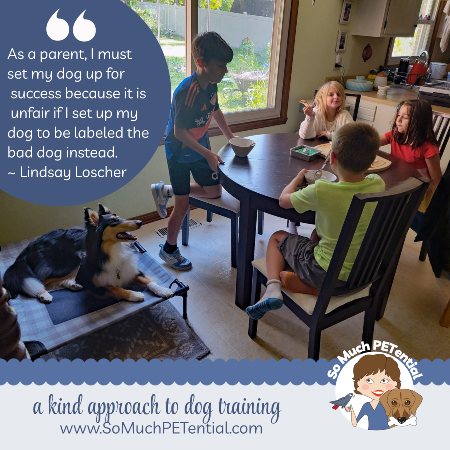 Managing Your Family Dog With Neighborhood Kids