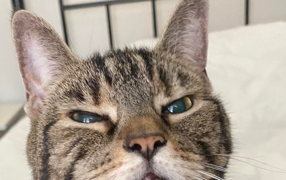 Sniff That Air Sunday Selfie