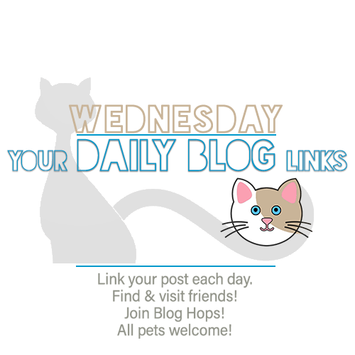 Wednesday 4/8 Blogging Activities – The Cat Blogosphere