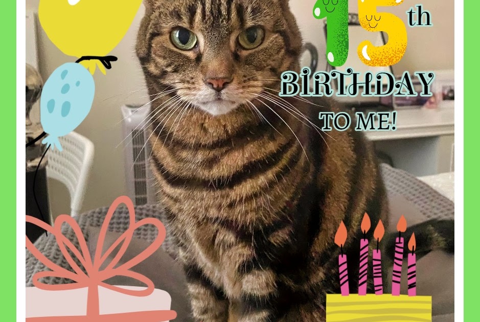 Happy Birthday To Me Caturday Art