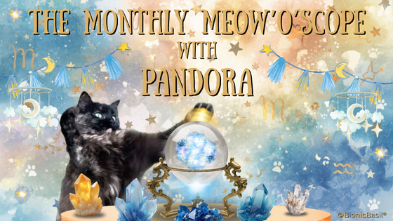 **BRAND NEW** THE BBHQ MONTHLY MEOWOSCOPE FOR MAY 2026 with PANDORA **PLUS** YOUR PURRSONAL COSMIC TIP