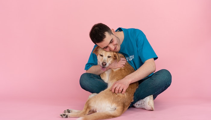 6 Signs You’re Ready to Adopt Your First Pet