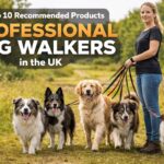 Equipment for Professional Dog Walkers