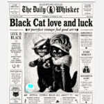 Black Cat Love and Luck |