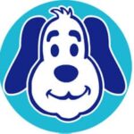 How to Turn Your Daily Dog Walk Into Mental Enrichment (Without More Time)