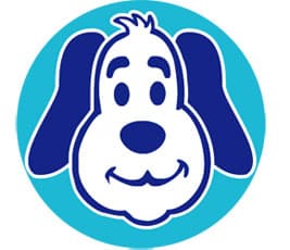 How to Turn Your Daily Dog Walk Into Mental Enrichment (Without More Time)
