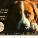 Brewers Rice in Dog Food: What is brewers rice? Is brewers rice good for dogs?