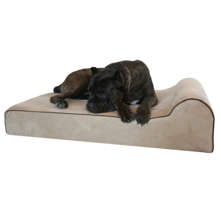 5 Things to Know Before Buying Extra Large Dog Beds