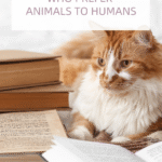 7 Books for People Who Prefer Animals to Humans