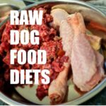 Best Raw Dog Food (Australia)