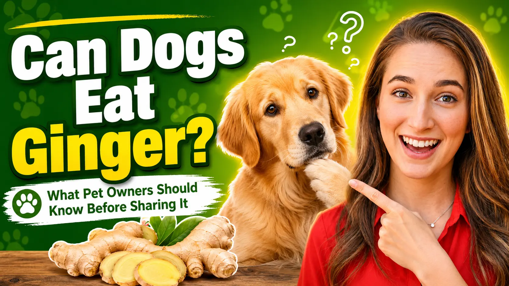 Can Dogs Eat Ginger? Benefits & Risks