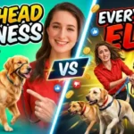 Dog Head Harness Vs Everything Else: Which Wins?