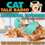 GLP-1 Drugs and Pet Safety