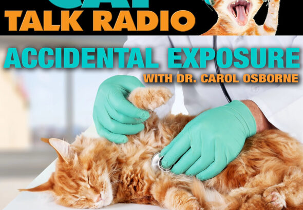 GLP-1 Drugs and Pet Safety